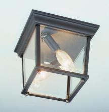  4905 BC - Ansel Collection Square 2-Light Simple Outdoor Flush Mount Ceiling Lantern Light
